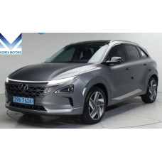 HYDROGEN HYUNDAI NEXO 2018/09-24